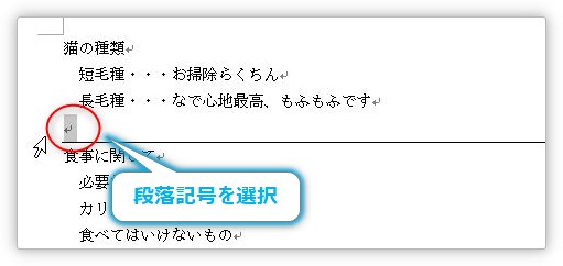 Word ワード で水平線を消す方法 横線が消えない場合の対処法 Prau プラウ Office学習所