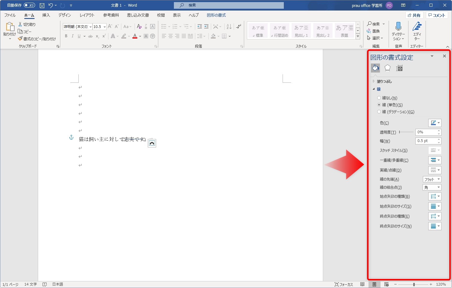 Word（ワード）で文字を二重線で消す方法｜取り消し線を赤色に変更するやり方