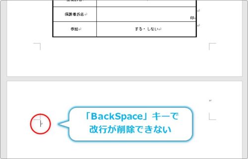 Word ワード で空白ページや 改行が削除できない場合の対処法 Prau プラウ Office学習所