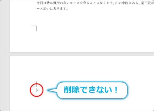 Word ワード で空白ページや 改行が削除できない場合の対処法 Prau プラウ Office学習所